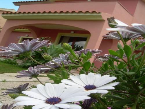 Номер Стандарт, Ariedo Bed And Breakfast