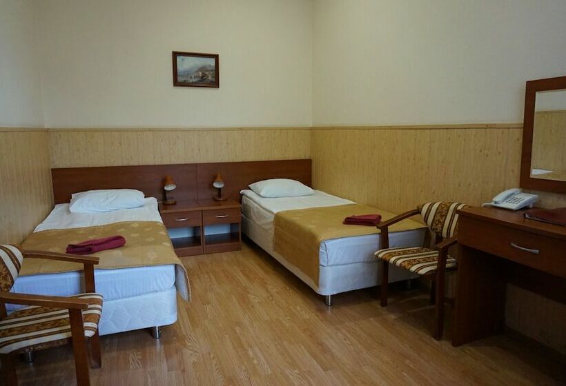 标准间, Amaks Shakhter Sanatorium