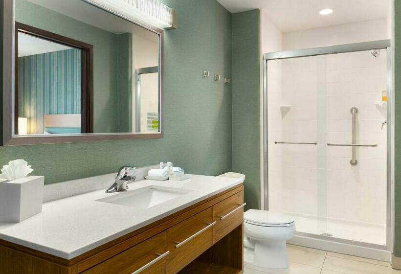 带大床的套房, Home2 Suites By Hilton Downingtown Exton Route 30
