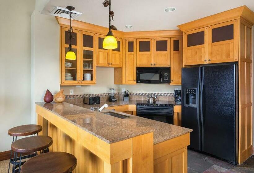 سوئیت 2 خوابه, Worldmark Park City