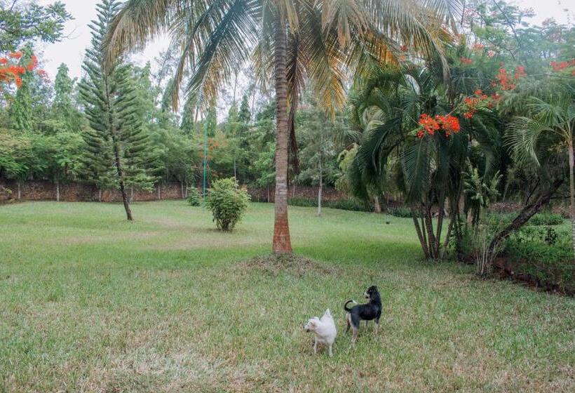 ویلای سوپریور 1 خوابه, Kijanii Cottages Diani Beach
