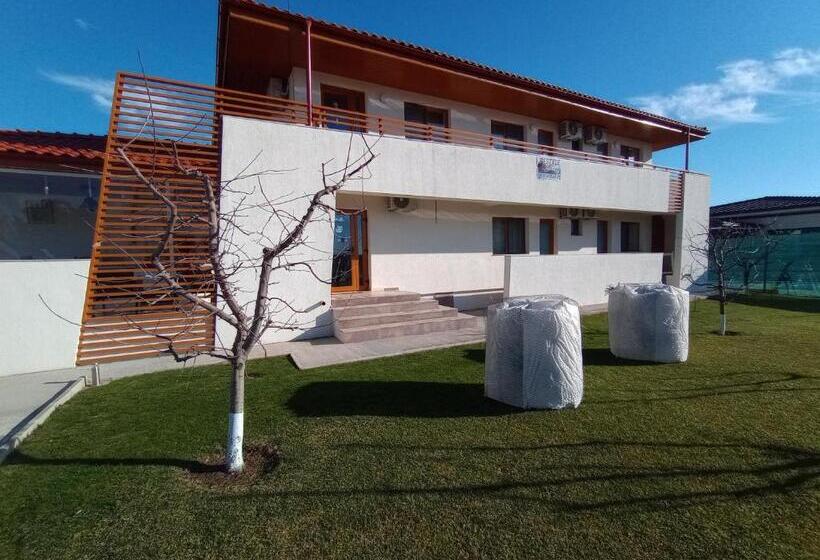 Номер Стандарт, Pestele Ca Odinioară