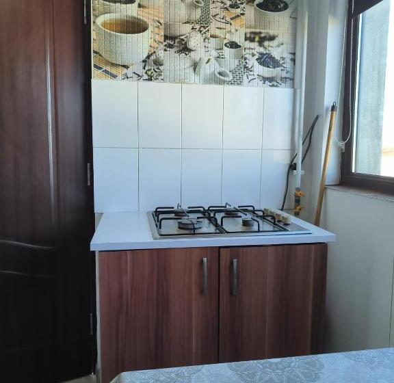 Номер Стандарт, Vila Gherghisan