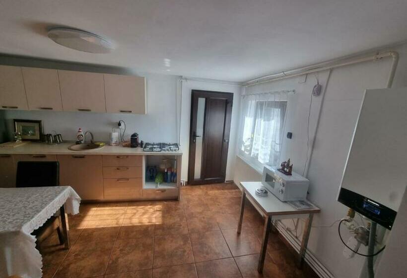 اتاق استاندارد با تخت بزرگ, Casa Petcu