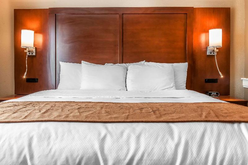 Стандартный Номер Кровать Кинг, Comfort Suites Rensselaer Near Fair Oaks