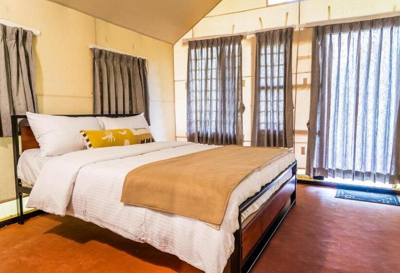 Standard Tent, Olive Farm @ Embassy International Riding School