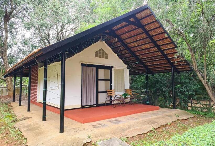 Standard Tent, Olive Farm @ Embassy International Riding School