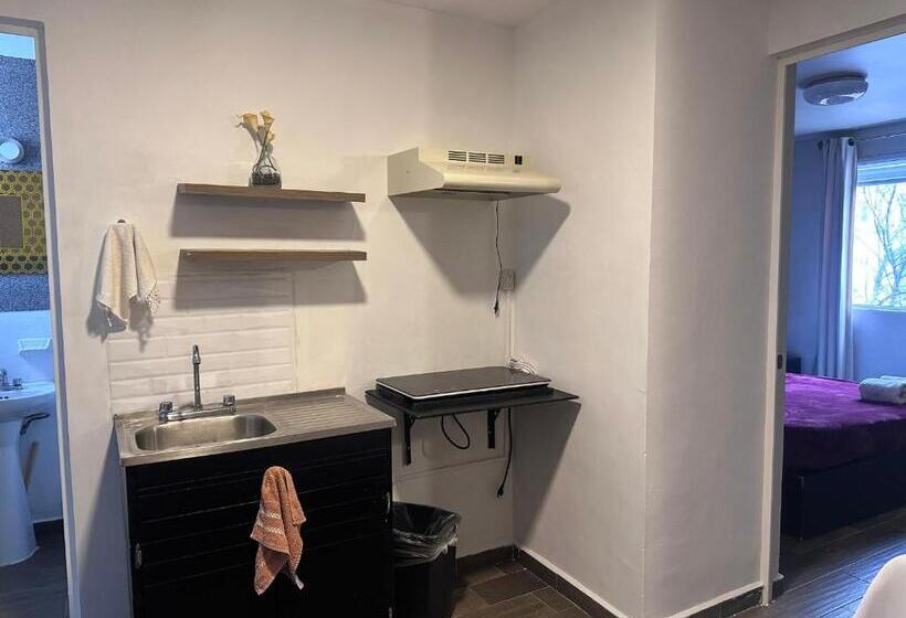 １ベッドルームのスーペリアアパートメント, Suites Apodaca