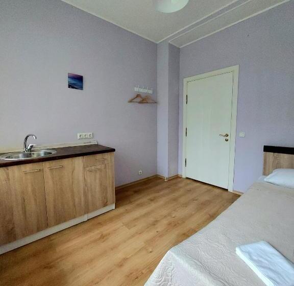 اتاق استاندارد یک نفره, Ayurveda Palace Jurmala Sanatorium