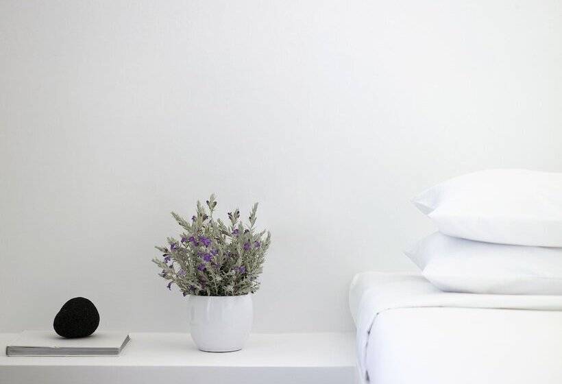 سوئیت اجرایی با چشم‌انداز دریا, Aurora Luxury Suites