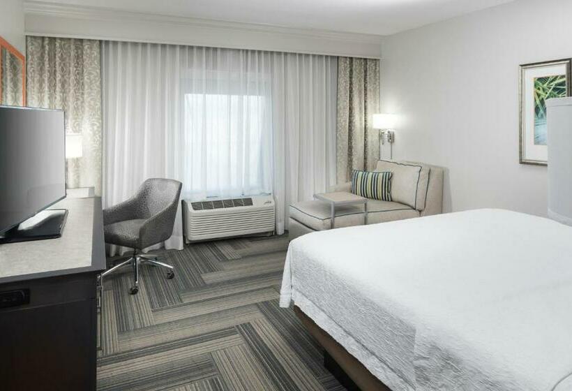 스탠다드 룸 킹사이즈 침대, Hampton Inn & Suites By Hilton Atlanta Perimeter Dunwoody