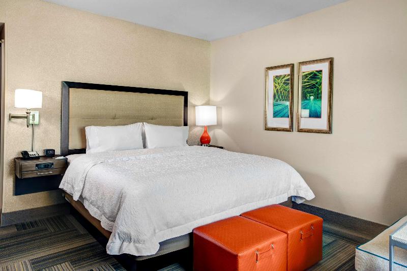 스탠다드 룸 킹사이즈 침대, Hampton Inn & Suites By Hilton Atlanta Perimeter Dunwoody