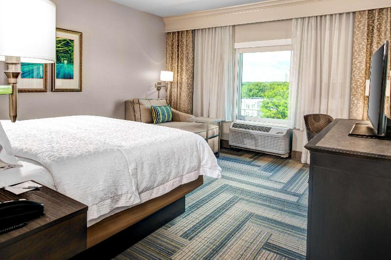 스탠다드 룸 킹사이즈 침대, Hampton Inn & Suites By Hilton Atlanta Perimeter Dunwoody