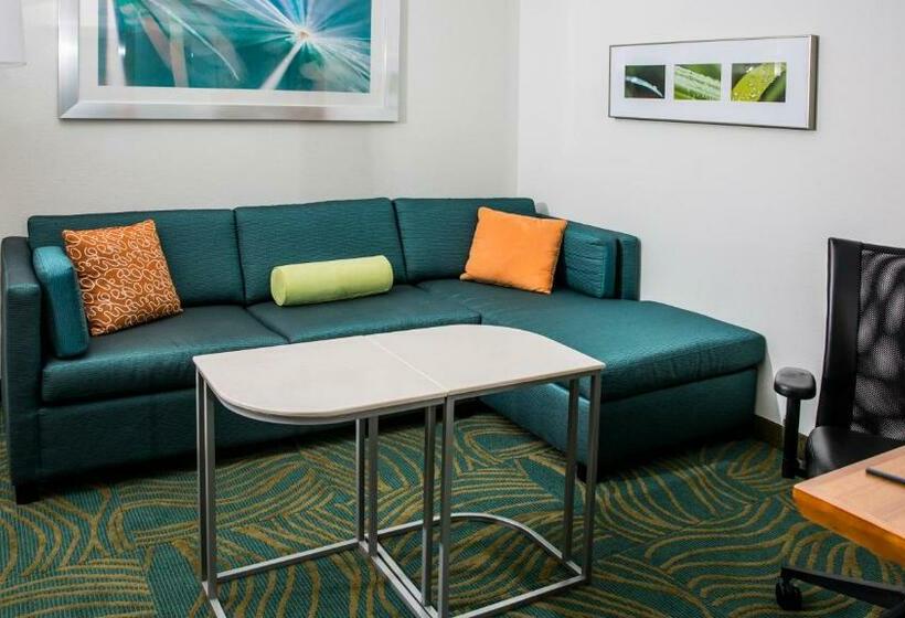 Люкс Кровать Кинг, Springhill Suites By Marriott Charleston Mount Pleasant