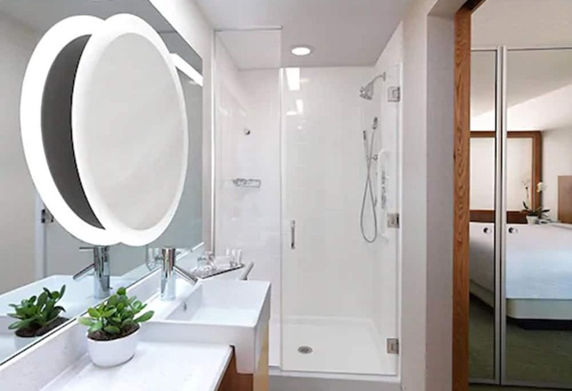 Люкс, Springhill Suites By Marriott Charleston Mount Pleasant