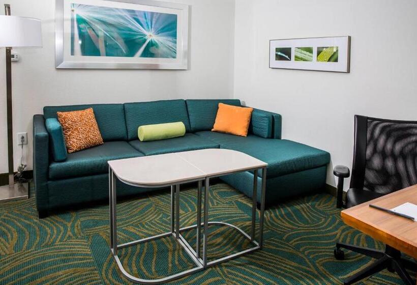 Люкс Кровать Кинг, Springhill Suites By Marriott Charleston Mount Pleasant