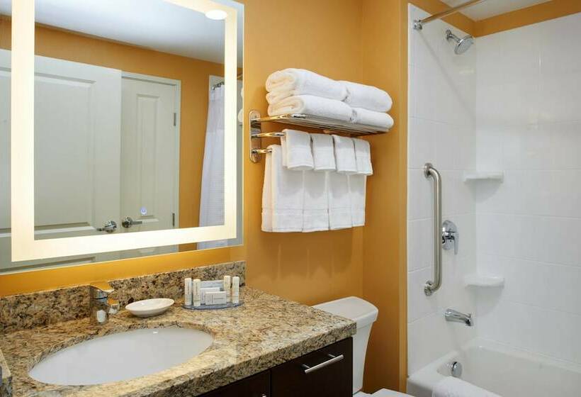 Люкс Вид на Город, Towneplace Suites By Marriott Detroit Troy