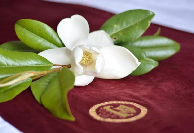 带园景的小型套房, Boutique Hotel Argo