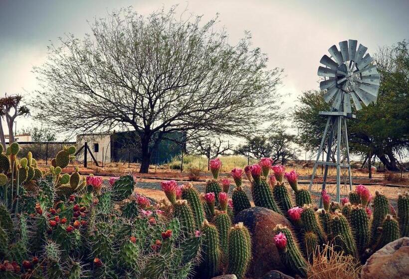 اتاق استاندارد, Grunau Country