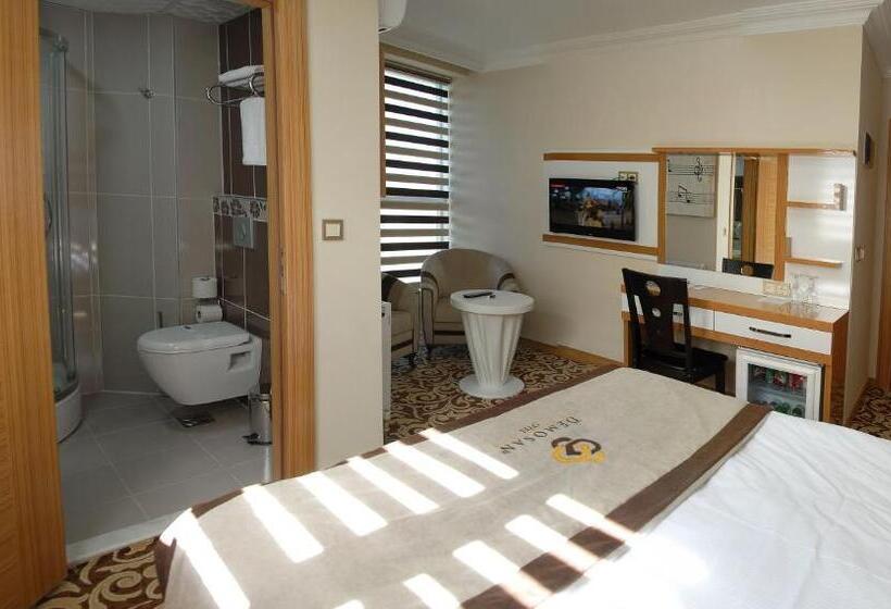 스탠다드 싱글 룸, Demosan City Otel