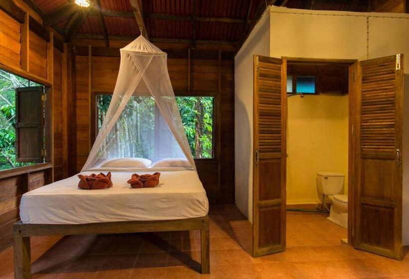 기본룸, Art S Riverview Lodge