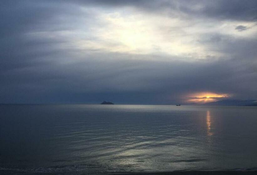 스탠다드 싱글 룸, Alexander Beach