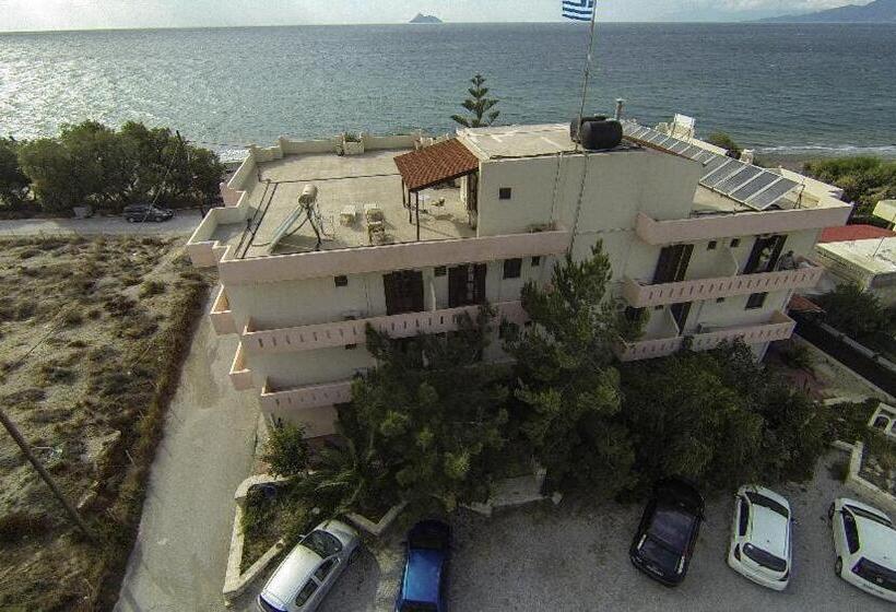 4인용 스탠다드 룸, Alexander Beach