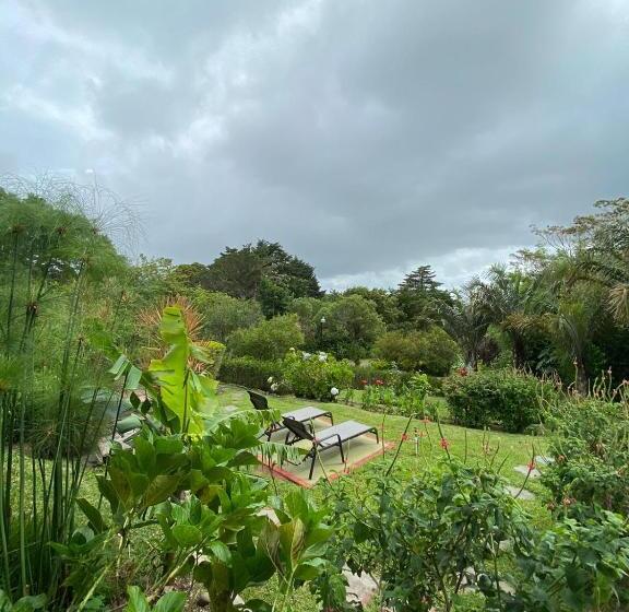스탠다드 룸, Casas Del Toro Playa Flamingo