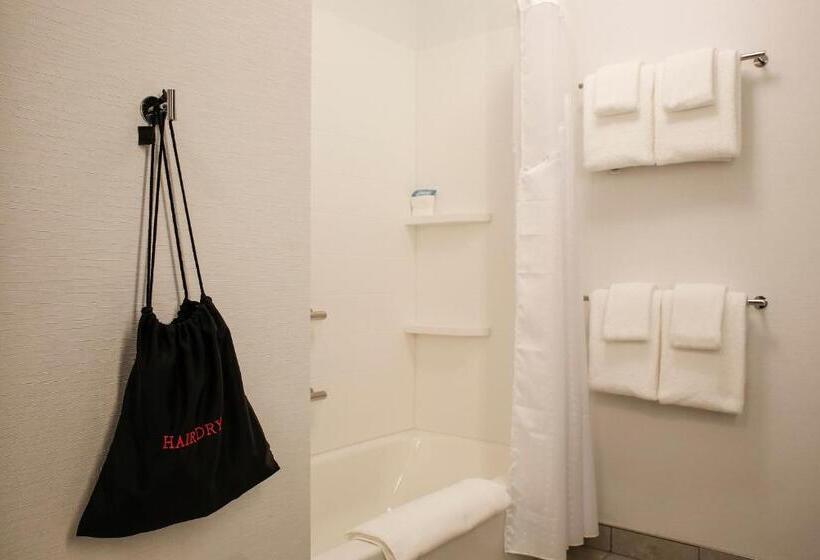 Camera Standard Letto King Accessibile ai persone con mobilità ridotta, Holiday Inn Express   Evansville, An Ihg