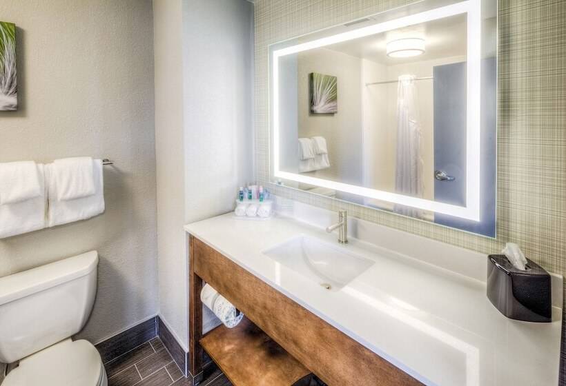 Люкс Адаптированный для Инвалидов, Holiday Inn Express & Suites Cleveland/westlake, An Ihg