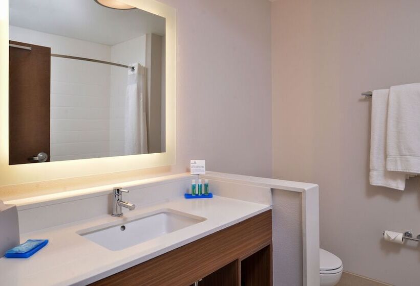 스위트, Holiday Inn Express & Suites   Van Horn, An Ihg