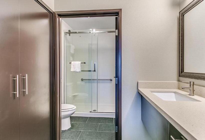 带大床的套房, Staybridge Suites Lubbock South, An Ihg