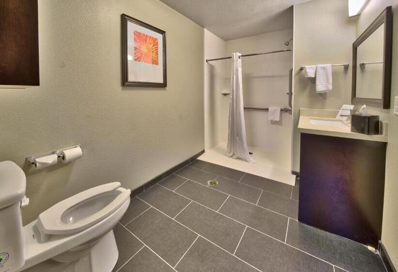 适合残疾人士使用的套间, Staybridge Suites Lubbock South, An Ihg