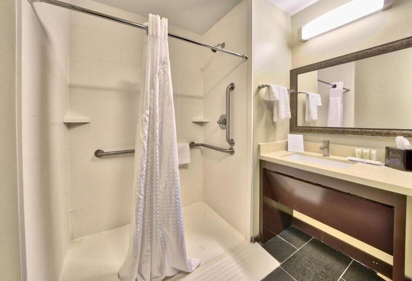 适合残疾人士使用的套间, Staybridge Suites Lubbock South, An Ihg