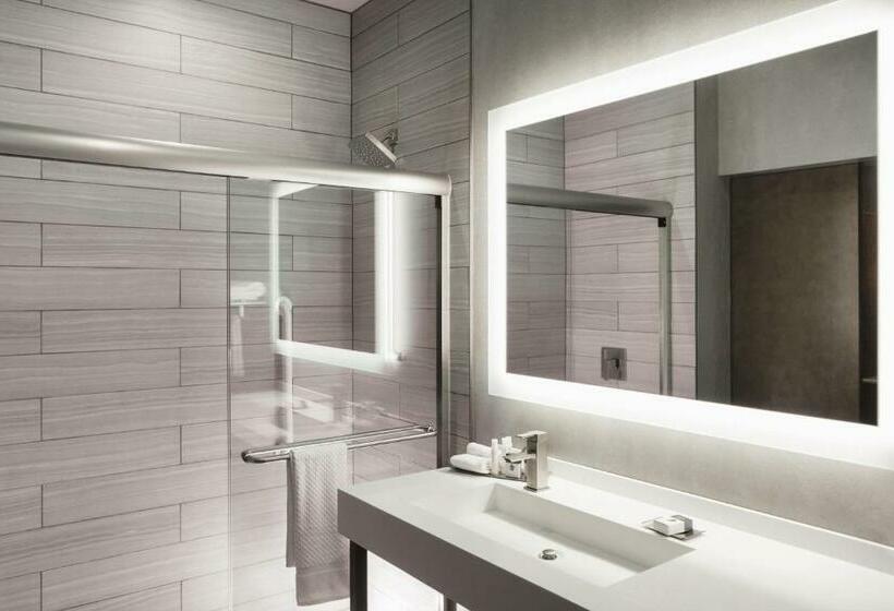 스탠다드 룸 킹사이즈 침대, Hilton Garden Inn Minneapolis University Area