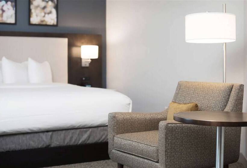 스탠다드 스튜디오 더블 침대, Hilton Garden Inn Minneapolis University Area