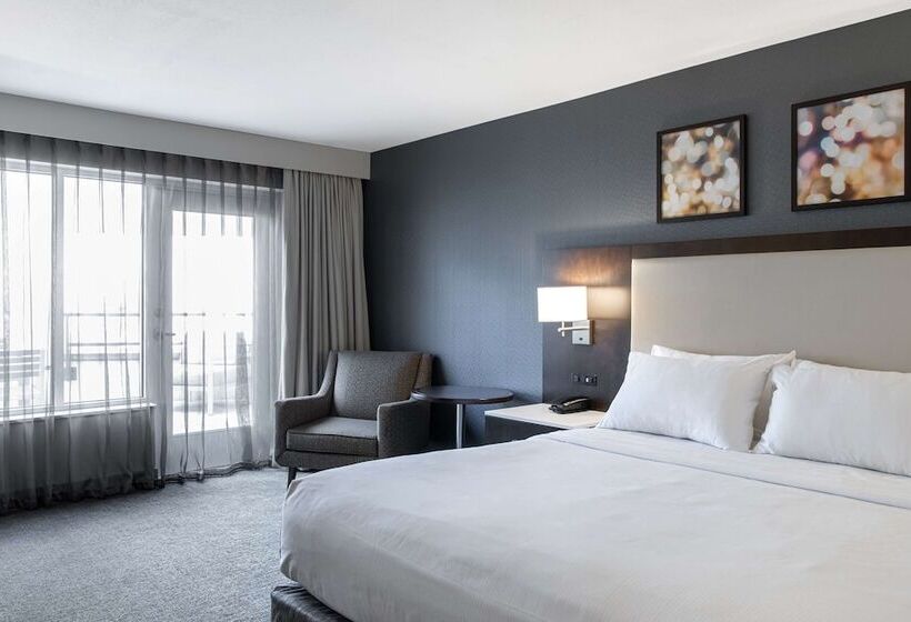 디럭스 스튜디오, Hilton Garden Inn Minneapolis University Area