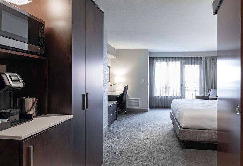 סטודיו דלוקס, Hilton Garden Inn Minneapolis University Area