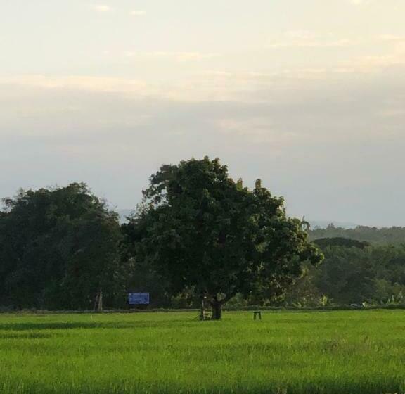 اتاق استاندارد, ณาคูรีสอร์ท Nakoo Resort Ngao