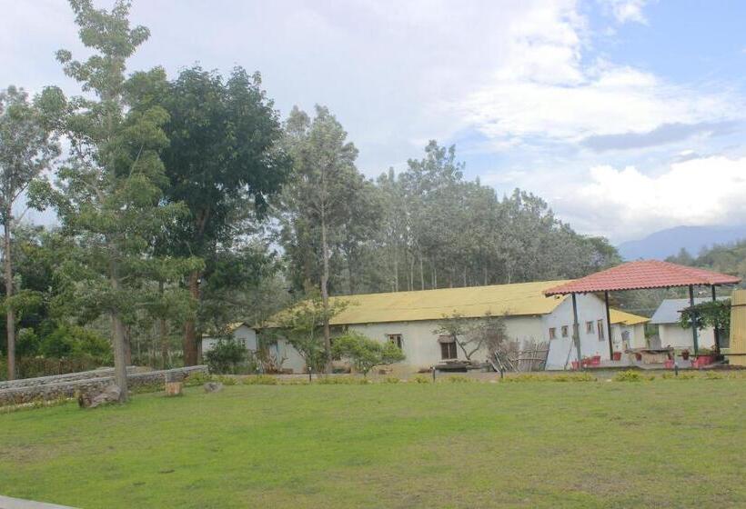 Люкс, Singaras Coffee Country
