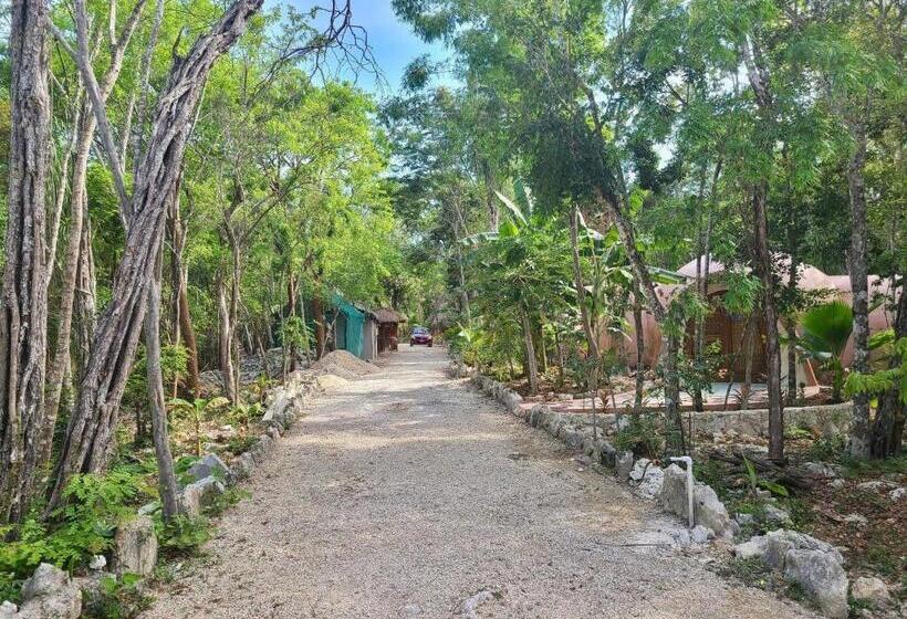 スタンダードルーム, Room In Lodge   Ecolush Couple Mayan Dome Cenote Bikes