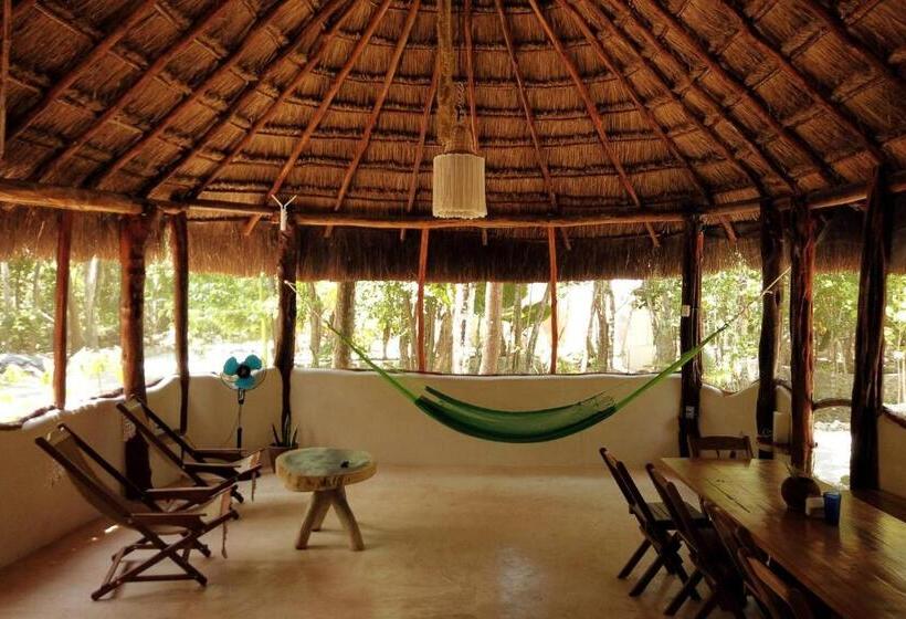 スタンダードルーム, Room In Lodge   Ecolush Couple Mayan Dome Cenote Bikes