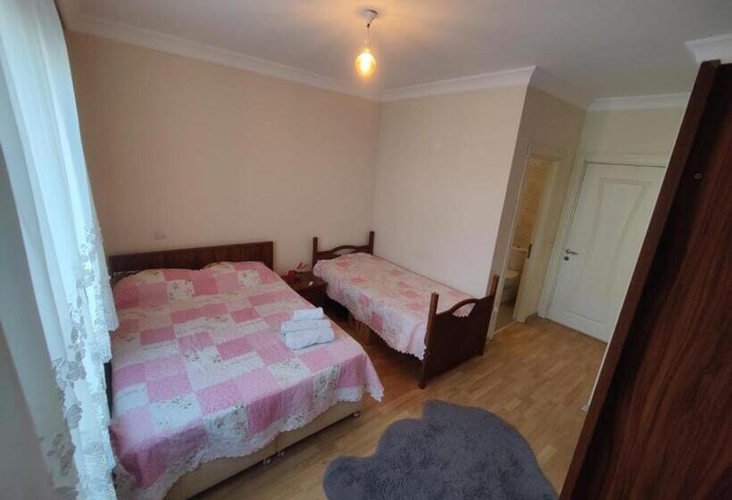 Номер Стандарт, Sabiha Gökçen Airport Ensuıte Private Room