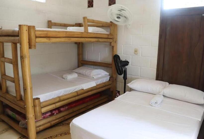 공동 객실, Afro Hostel