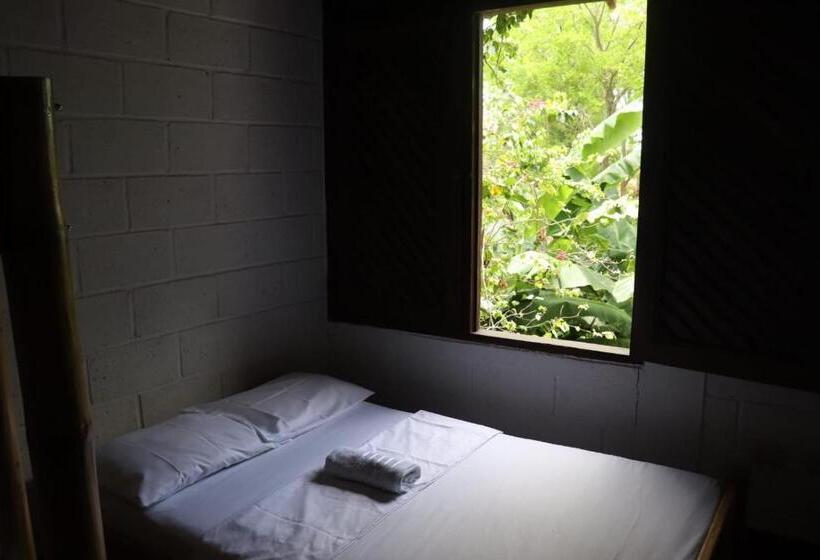공동 객실, Afro Hostel