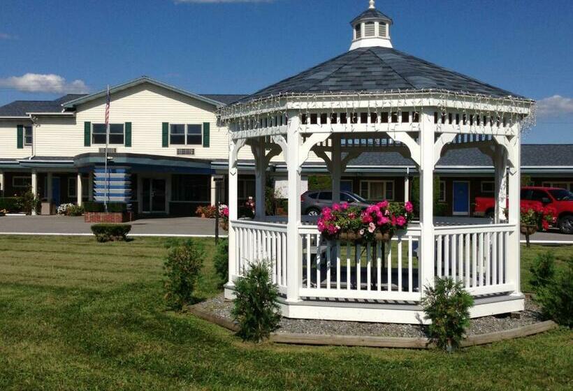 带大床的标准间, Wye Motor Lodge Duncansville   Altoona