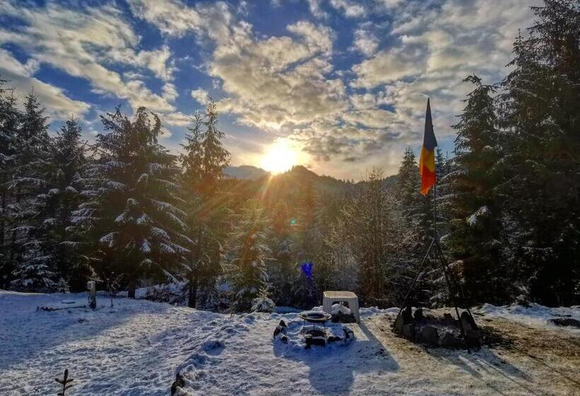 خانه 1 خوابه, Cabana Căsaru
