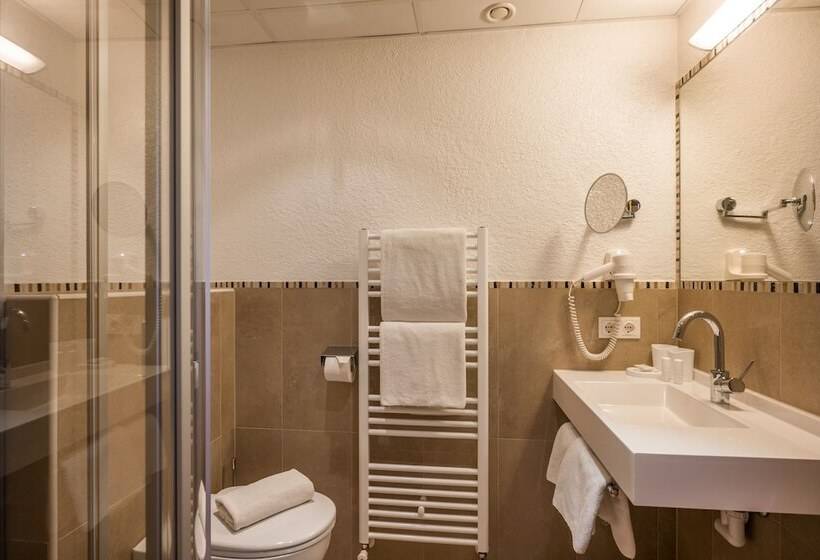 Индивидуальный Номер Классика, Alpenhof Hotel Garni Suprême