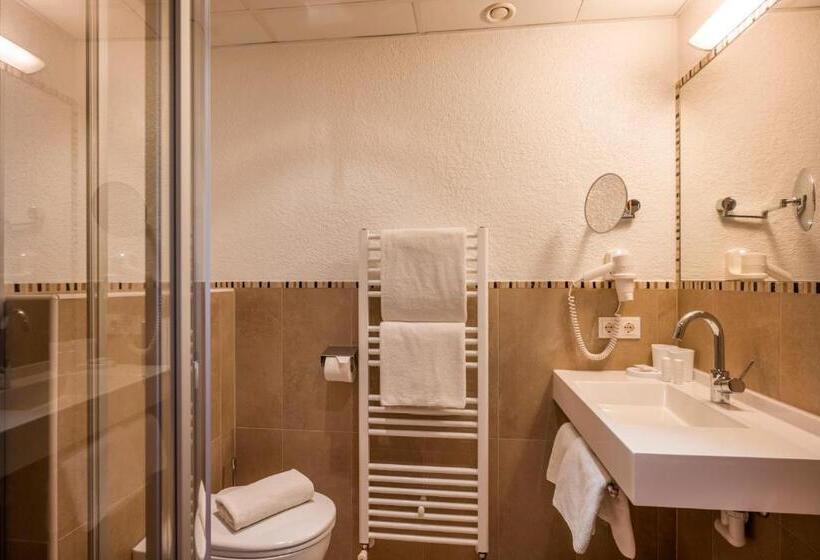 Номер Economy, Alpenhof Hotel Garni Suprême
