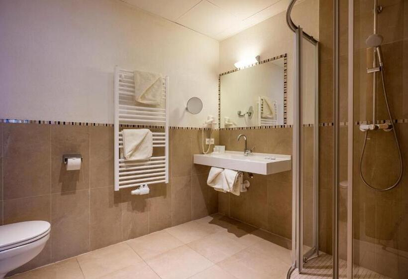 Семейный Номер Superior, Alpenhof Hotel Garni Suprême